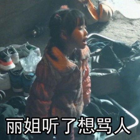 丽姐表情包你再说,网络时代的情感共鸣与社交新风尚 第3张 丽姐表情包你再说,网络时代的情感共鸣与社交新风尚 第3张