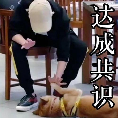 综艺青春旅社表情包,笑点满满,回忆满满 第2张 综艺青春旅社表情包,笑点满满,回忆满满 第2张