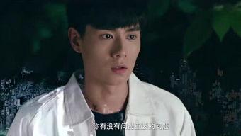 阿追资料,探寻历史足迹,揭秘传奇人生 第2张 阿追资料,探寻历史足迹,揭秘传奇人生 第2张