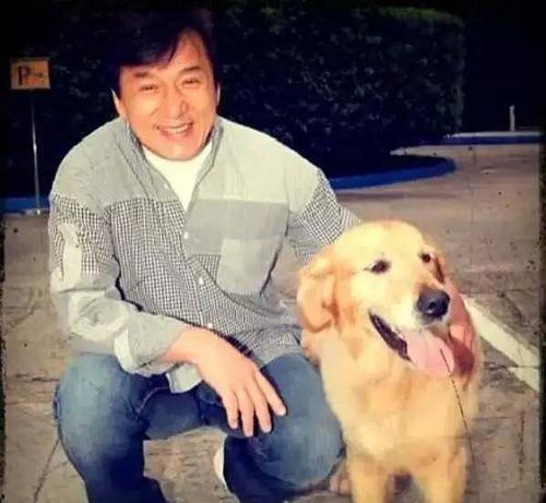 明星都养狗,揭秘娱乐圈狗狗们的幸福生活 第2张 明星都养狗,揭秘娱乐圈狗狗们的幸福生活 第2张