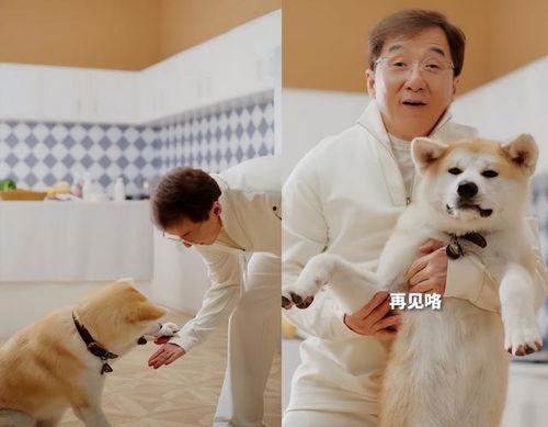 明星都养狗,揭秘娱乐圈狗狗们的幸福生活 第3张 明星都养狗,揭秘娱乐圈狗狗们的幸福生活 第3张