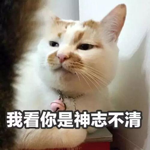 你是什么货色 表情包,揭秘“我是什么货色”表情包背后的趣味与内涵  第2张